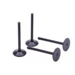 VALVULA ADMISSÃO 44MM K2700