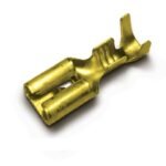 TERMINAL LATAO FEMEA