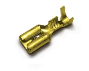 TERMINAL LATAO FEMEA