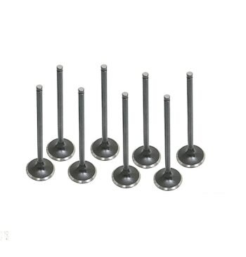 VALVULA ADMISSÃO KIA/HR 16V JG