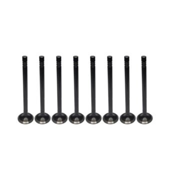 VALVULA ESCAPE KIA/HR 16V JG