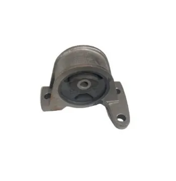 COXIM  MOTOR LD DUCATO 10/17
